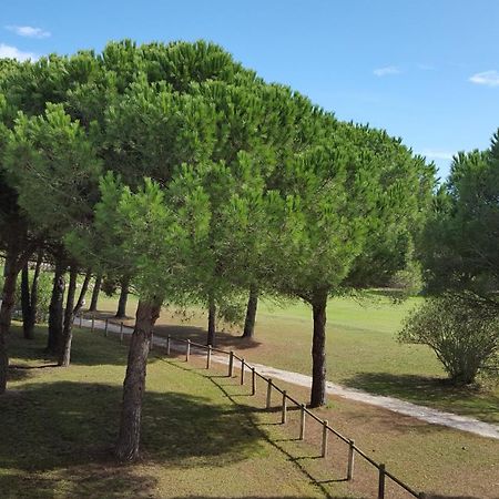 Vert Paradis - Vue Apaisante Sur Golf, Pins Parasols, 2E Etage - 80 M2 Dont Terrasse Avec Pergola, 2 Chambres, 3Et Iles, 3 Clim, Wifi - Piscine, Parking Et Park A Velos, Ascenseur - En Option Linge, Menage - Pistes Cyclables, Mer A Proximite แซงต์-ซีเปรียง ภายนอก รูปภาพ