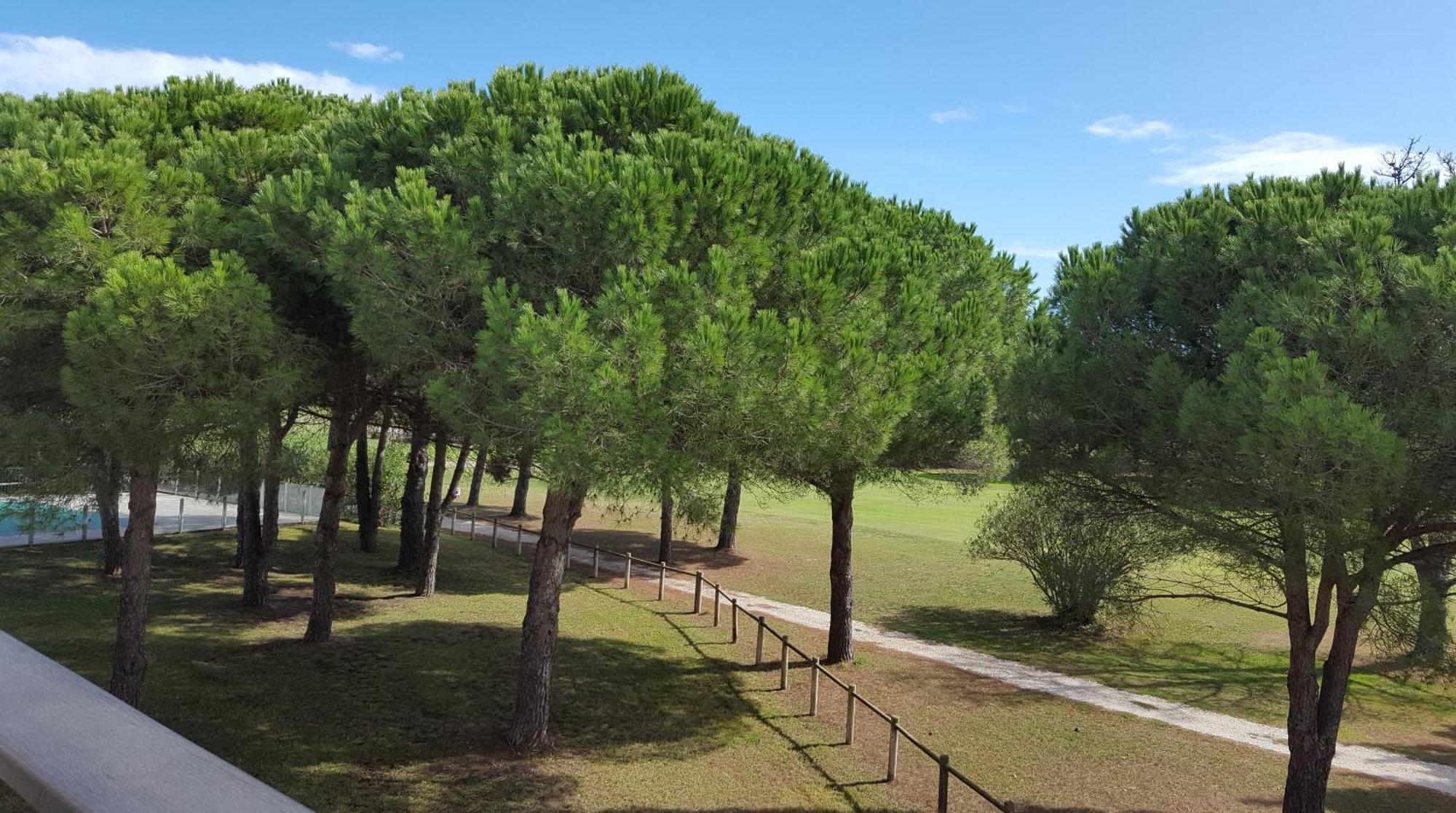 Vert Paradis - Vue Apaisante Sur Golf, Pins Parasols, 2E Etage - 80 M2 Dont Terrasse Avec Pergola, 2 Chambres, 3Et Iles, 3 Clim, Wifi - Piscine, Parking Et Park A Velos, Ascenseur - En Option Linge, Menage - Pistes Cyclables, Mer A Proximite แซงต์-ซีเปรียง ภายนอก รูปภาพ